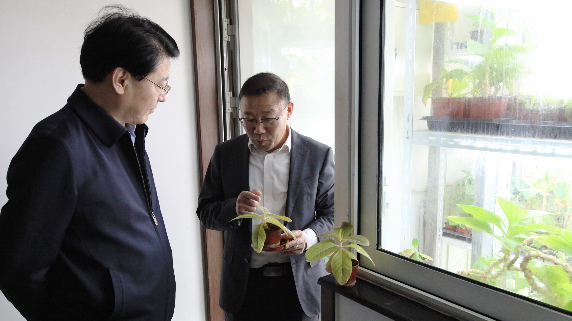 中国农业科学院副院长、党组成员刘现武到烟草所调研