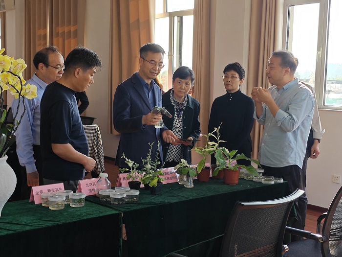 标准审查现场 - 副本.jpg