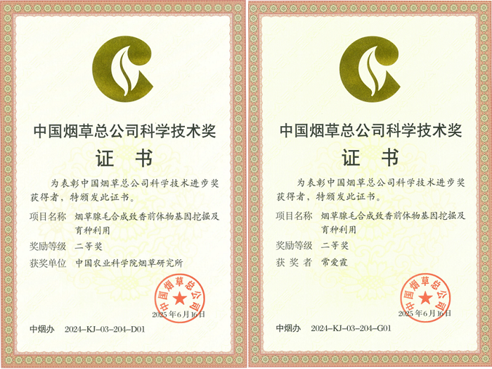 获奖证书 - 副本.png