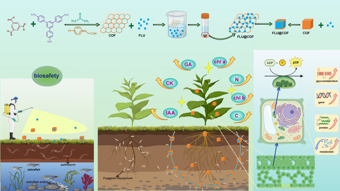 配图-2 - 副本.png