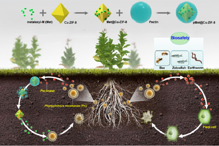 配图-1 - 副本.png