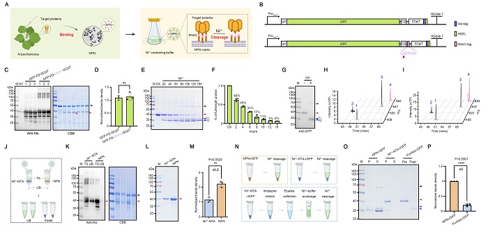 植物源新平台 - 副本.jpg