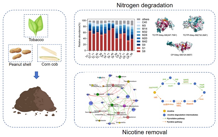 Graphical abstract - 副本.jpg