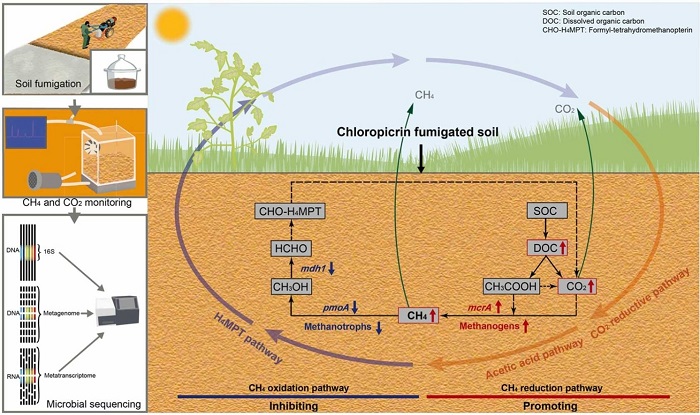 摘要图 - 副本.jpg