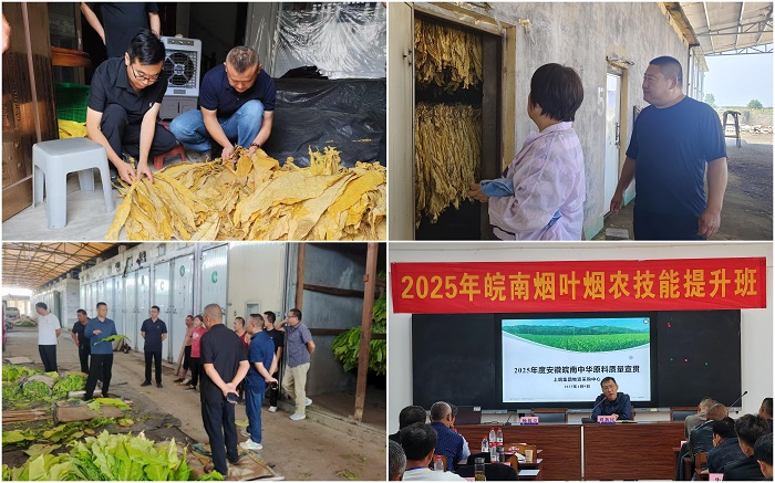 WPS拼图4 - 副本.jpg