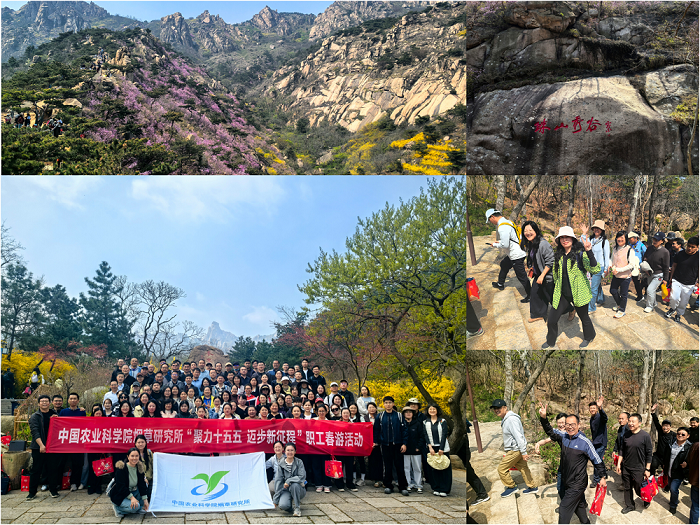 春游活动 - 副本.png