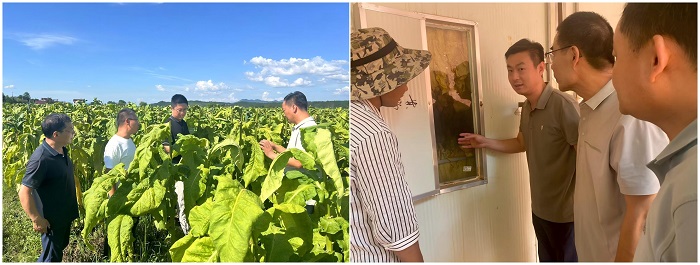 WPS拼图1 - 副本.jpg