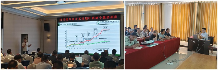 WPS拼图3 - 副本.jpg