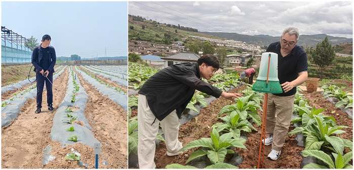 WPS拼图2 - 副本.jpg