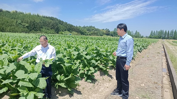 宣州烟草产业发展来访 - 副本.jpg