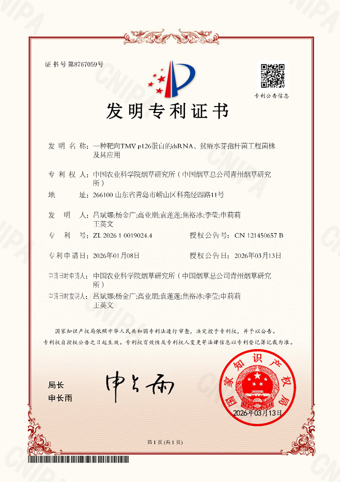 图片4 - 副本.png