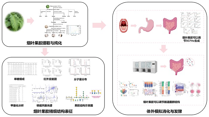 烟叶高值化利用 - 副本.jpg