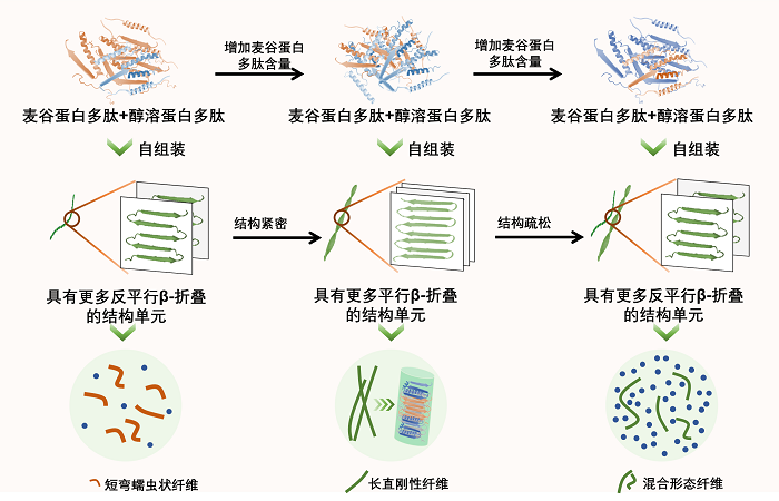 图片 - 副本.png