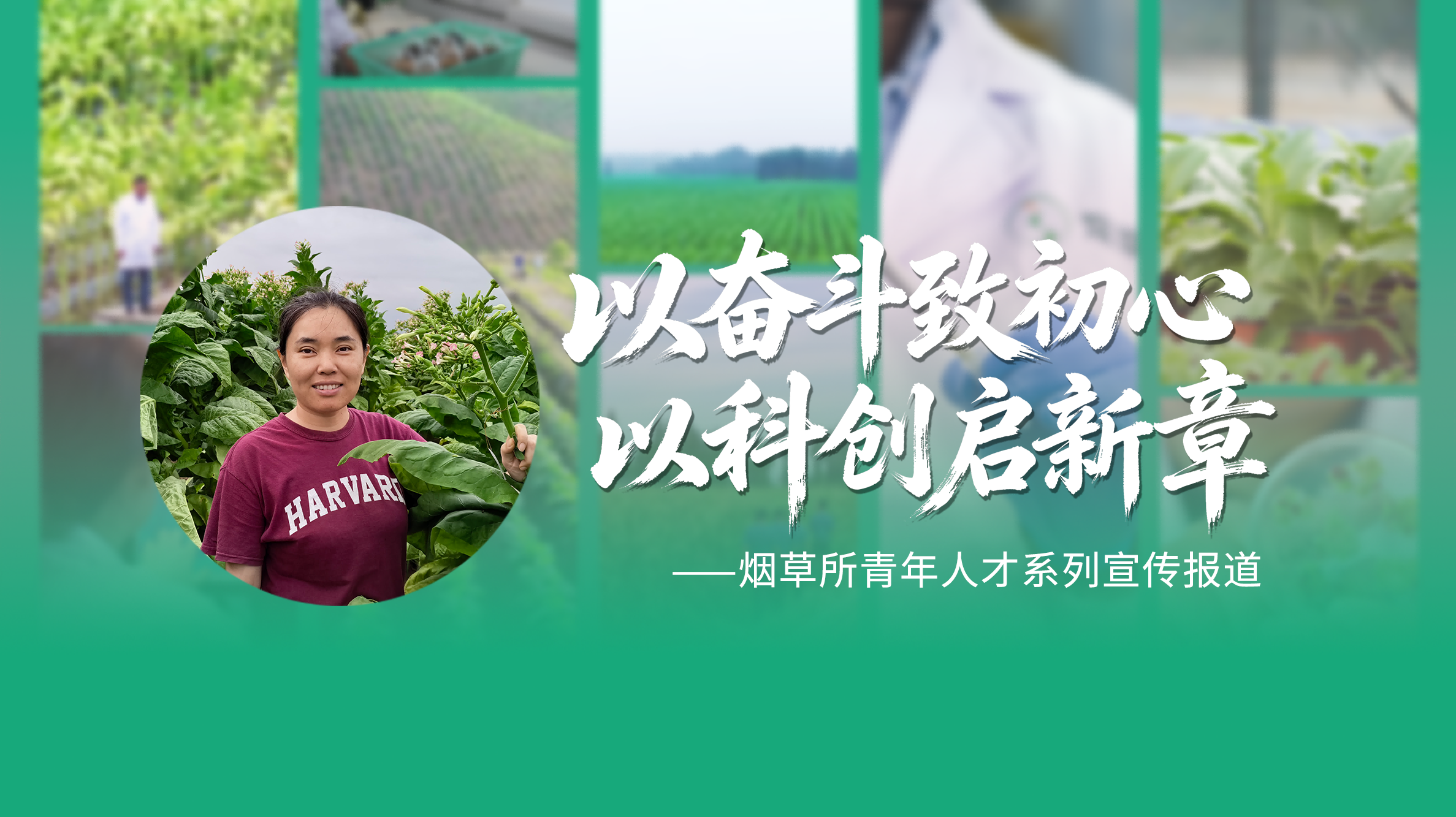我有一个梦，让生机在荒漠绽放