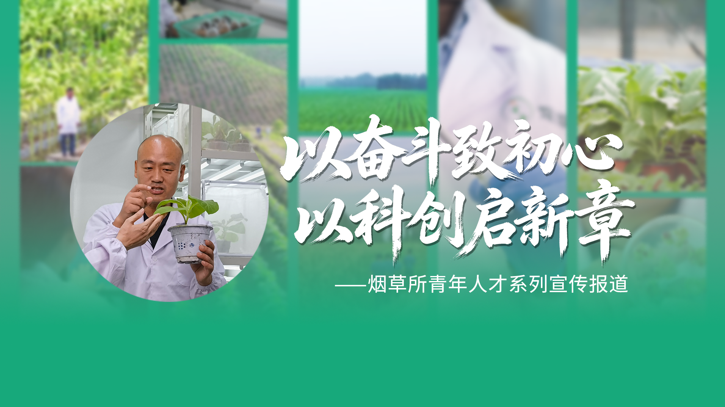 向病毒寻策 为农田护航