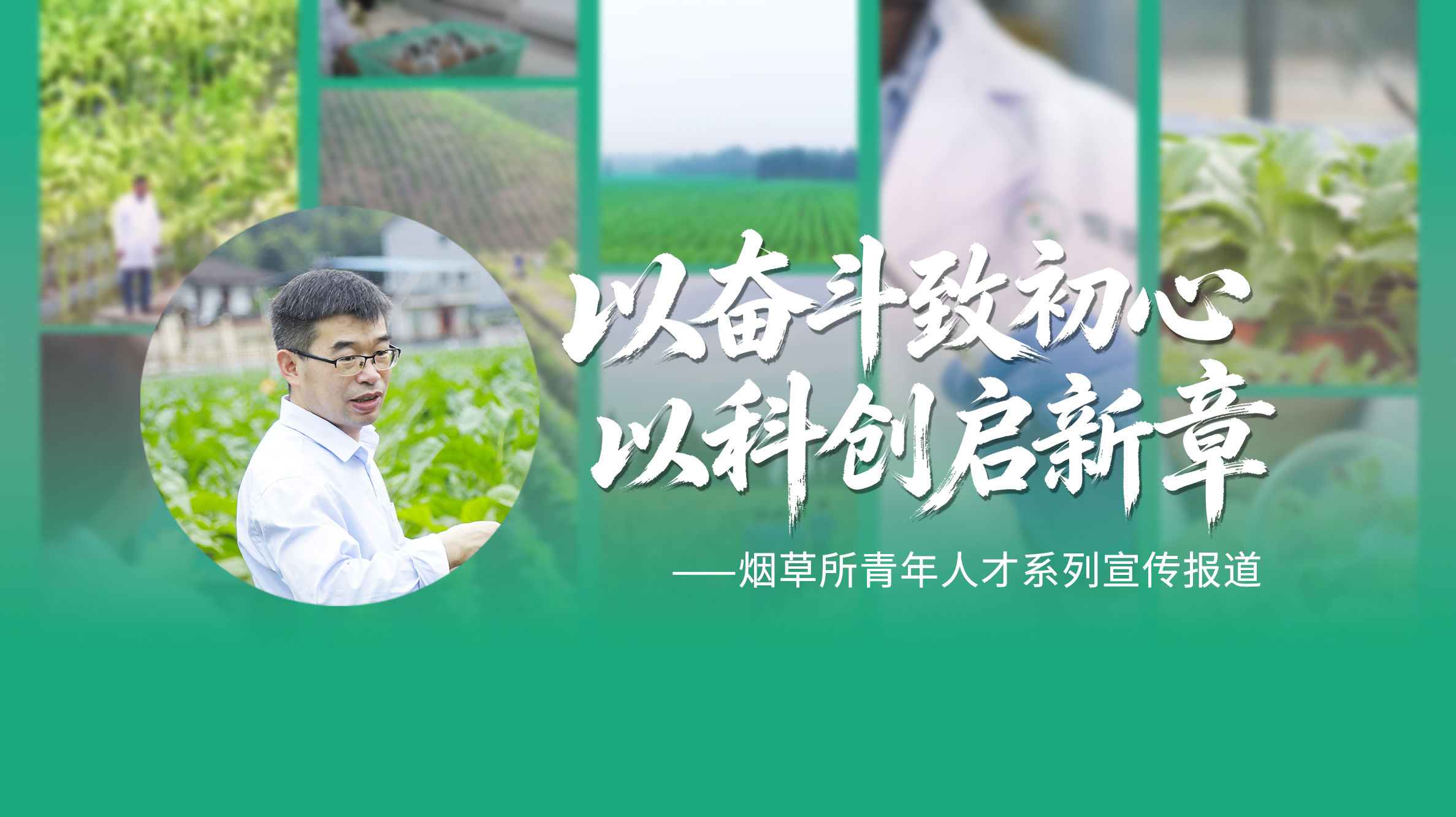 变烟为“宝” 神奇植物的跨界突围