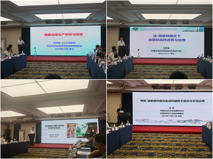 会议图片-报告 - 副本.jpg